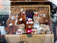 DSCF2823  Oh no bear shopping awaits at Valentino's Flowers, York Street, Albany.