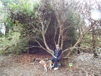 DSCF2529  B. saxicola photo taken at the  Banksia Farm, Mt Barker  on the 19/05/2014.