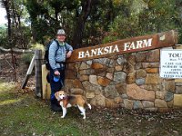 DSCF2615  Rauleigh and Bobby at the   Banksia Farm .