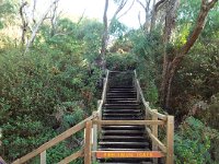 DSCF2884  Bibbulmun track, Cosy Corner Beach, Torbay
