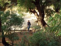 DSCF2894  Walking through the picnic area at Cosy Corner Beach, Torbay