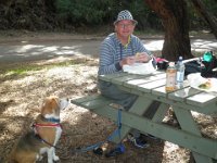 P5210603  Picnic time at Cosy Corner Beach, Torbay