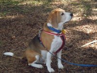 P5210605  On second thoughts I think I'll be good.