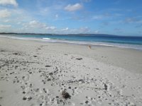 P5210606  Cosy Corner Beach, Torbay