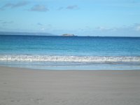 P5210608  Cosy Corner Beach, Torbay