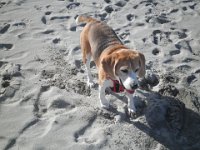 P5210612  Now what can I get up to next.