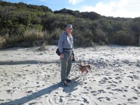 P5210613  Rauleigh and Bobby enjoy a walk at Cosy Corner Beach, Torbay