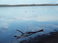 DSCF2302  View of Wilsons Inlet near the Denmark River Mouth.