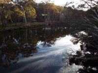 DSCF2316  Denmark River near sunset.