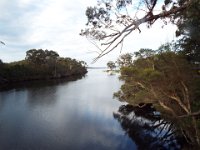 DSCF2896  Views of the Denmark River from the walking bridge over the Denmark River at the start of the Mokare Heritage Trail.