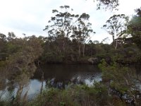DSCF2912  Views of the Denmark River from the Mokare Heritage Trail.
