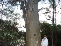 DSCF2914  Sam and Bobby next to Views of the Denmark River from the Mokare Heritage Trail.