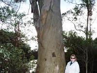 DSCF2915  Sam and Bobby next to a large Karri tree on the Mokare Heritage Trail.