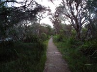 DSCF2920  Sam and Bobby on the Mokare Heritage Trail.