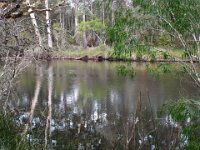DSCF2930  Views of the Denmark River from the Mokare Heritage Trail.