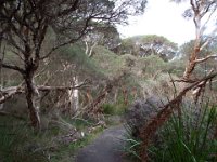 DSCF2934  Views of the Denmark River from the Mokare Heritage Trail.