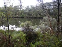 P5180531  Views of the Denmark River from the Mokare Heritage Trail.