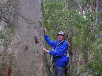 P5220656  Rauleigh next to a large Karri tree on the Mokare Heritage Trail.