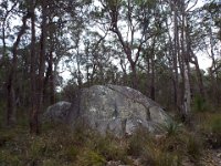 DSCF2352  Granite outcrop on walk trails near the Bear's Den.