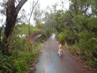P5230676  Bobby on a walking path on Inlet Drive near the Bear's Den.