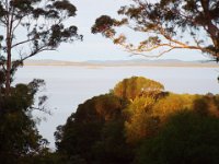 DSCF2783  Views over Wilsons Inlet in the background.