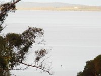 DSCF2784  Views over Wilsons Inlet near the Waterfront Restaurant