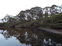 DSCF2794  View of Wilsons Inlet near the Waterfront Restaurant