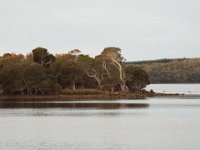 DSCF2798  View of Wilsons Inlet near the Waterfront Restaurant