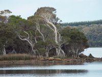 DSCF2799  View of Wilsons Inlet near the Waterfront Restaurant