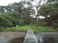 DSCF2800  Sam and Bobby with large karri trees from the jetty looking back to the Waterfront Restaurant.