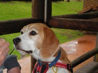 P5200560  Please dad!