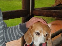 P5200561  Thanks that was so yummy!