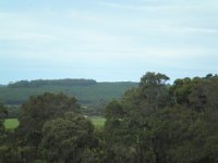 P5220629  View at Ducketts Mill Wines & Denmark Farmhouse Cheese.