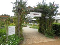 P5220650  Denmark Chocolate Company, Ocean Beach, Denmark.