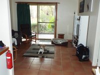 DSCF2279  Bobby has a rest on arrival at the Bear's Den, Denmark.