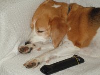 P5190552  I'm too tired to watch television!