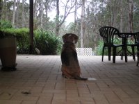 P5200585  I love it here!