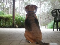 P5200586  I love it here!