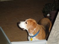 P5220664  If I am good I might get a snack!