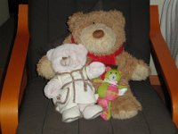 P5240705  Mr Chubbs welcomes new bears PJ and York into the Bear's Den, Denmark.