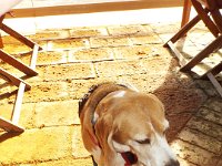 DSCF2983  So where's the food?