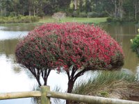 DSCF3001  The Lake House, Denmark.