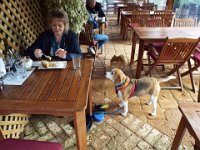 DSCF3015  Please leave me some mum!