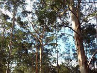 DSCF3035  The drive to The Lakehouse, Denmark.