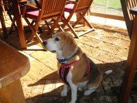 P5230688  It's okay dad, I'll help you!