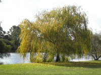 P5230696  The Lake House, Denmark.