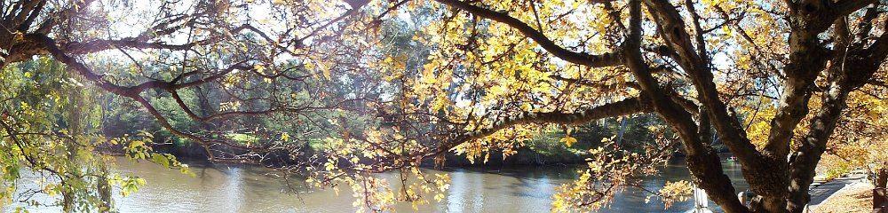 DSCF6100  Studley Park on the Yarra River, Melbourne.