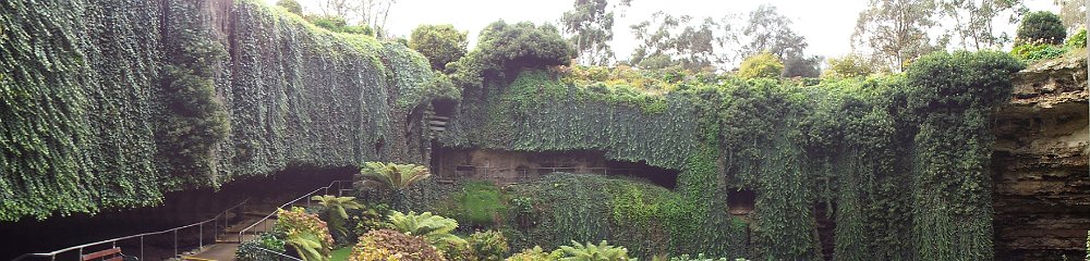 DSCF6601  Umpherston's Sinkhole in Mt Gambier,South Australia.