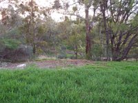 DSCF6073  Unknown river near the Big 4 Melbourne Caravan Park in Coburg, Melbourne.