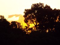 DSCF6080  Sunset on our first night in Melbourne.